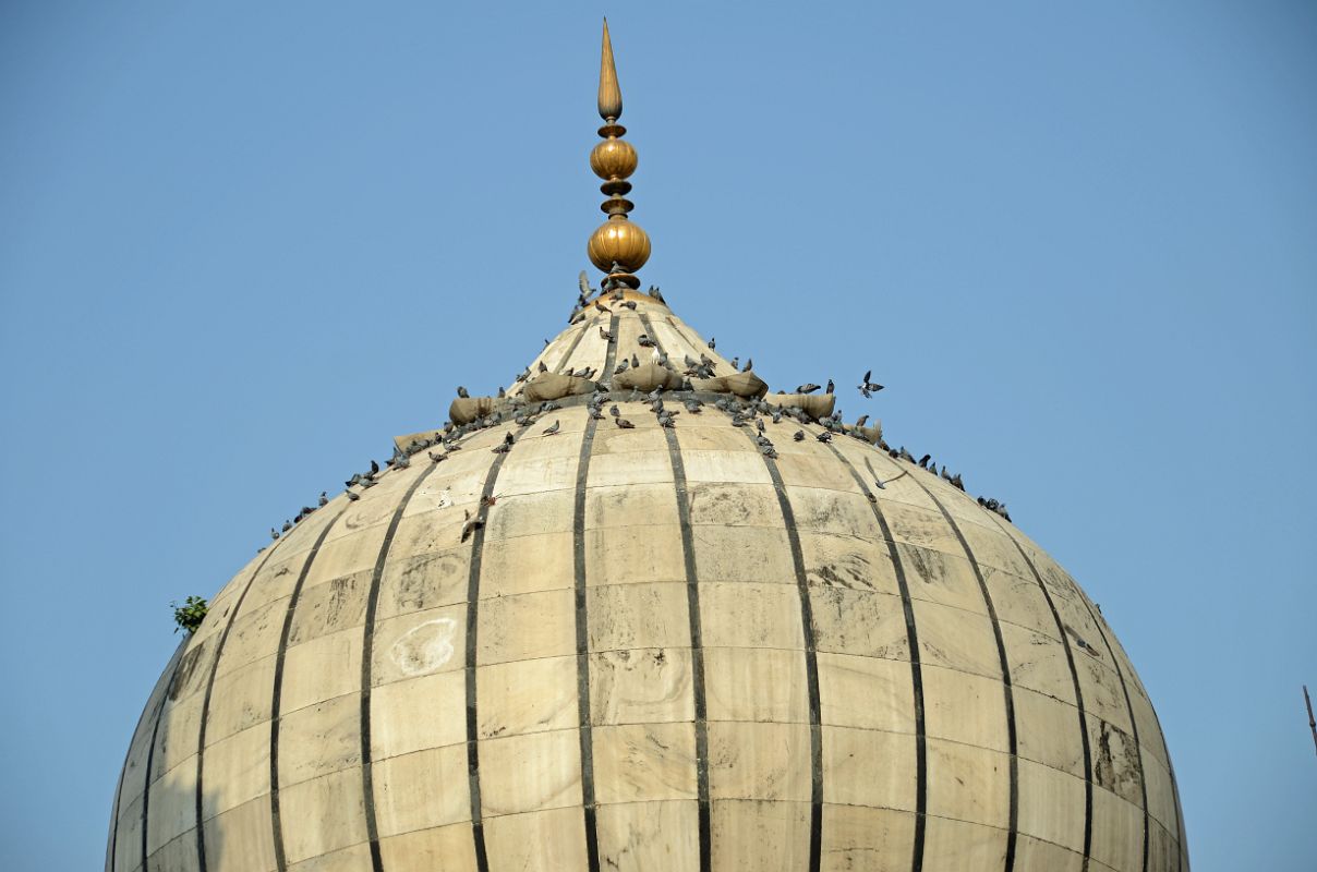 Delhi Jama Masjid